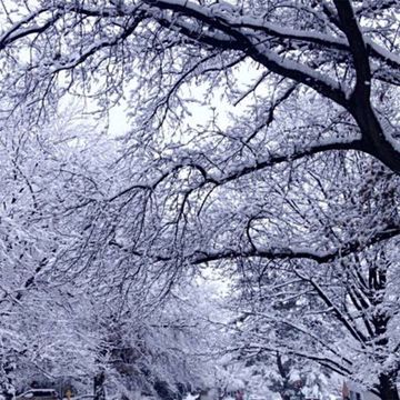baby it's cold outside feat. RYCE, barnes blvd.-cover
