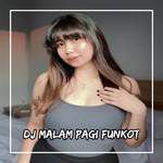 DJ MALAM MASIH MUDA ASAL