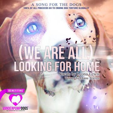 (We Are All) Looking for Home-cover
