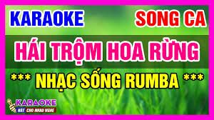 Hái Hoa Rừng Cho Em_Beat Song Ca Nhạc Sống