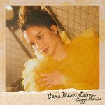 Cara Mencintaimu-cover