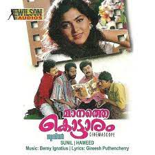 Poonilaamazha (Short Ver.)-cover