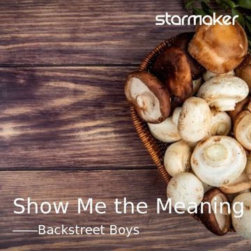 Show Me the Meaning -cover