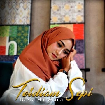 Terdiam Sepi (Remix Vers.)-cover