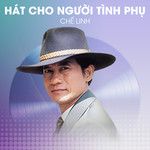Đẹp lòng người yêu-cover