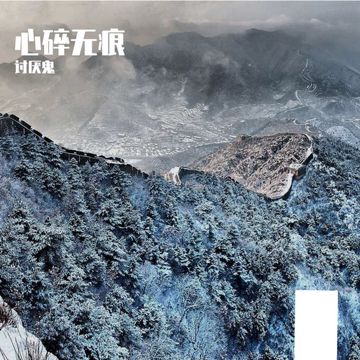 心碎无痕-cover