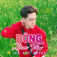 Bông Mua Tím-cover