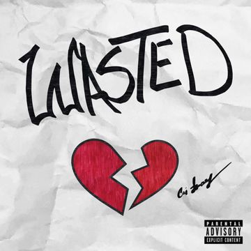 Wasted-cover