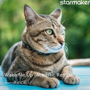 Wake Me Up (Acoustic Remix)-cover