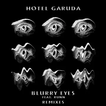 Blurry Eyes (Tim Gunter Remix)-cover