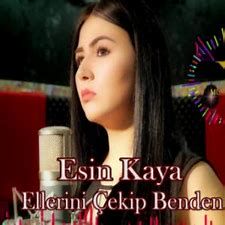 Seni Gördüm Neşem Geldi-Remix-cover