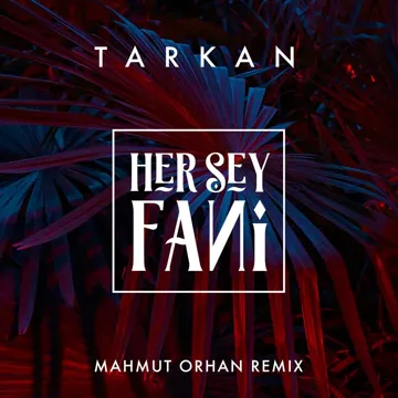 Her Şey Fani (Mahmut Orhan Remix)-cover