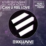 Can U Feel Love(Pee4tee Remix)