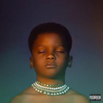 Bisi-cover