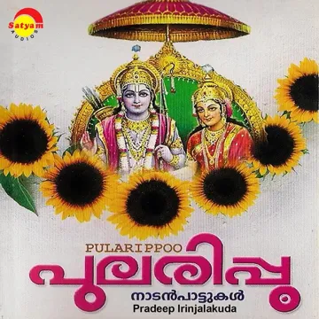NereNilkkuvaan-cover