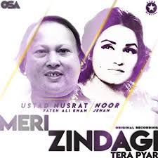 Meri Zindagi Tera Pyar-cover