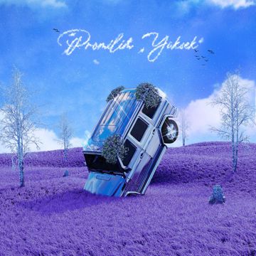 Promilim Yüksek-cover