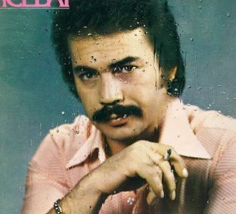 Doğan bir pişman-cover