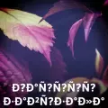 coveImg