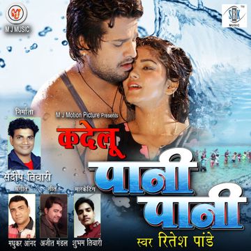 Labari Re Labari Dj Song Bhojpuri-cover
