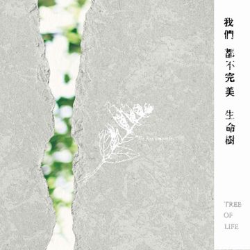 不完美-cover