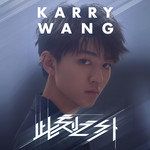 遇見-cover