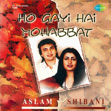 Ho Gai Hai Mohabbat-cover