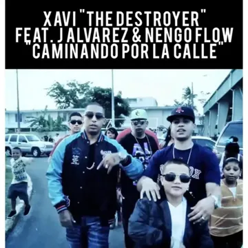 Caminando por la Calle-cover