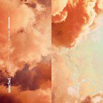 Fair Shot-cover