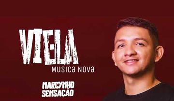 Viela-cover