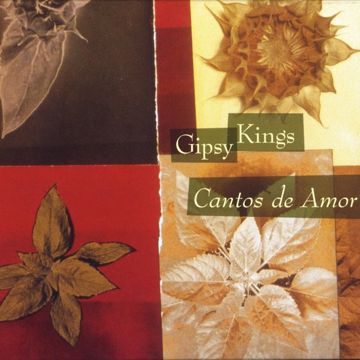 Caminando Por La Calle-cover