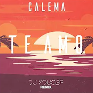 Te Amo (DJ Youcef Remix)-cover
