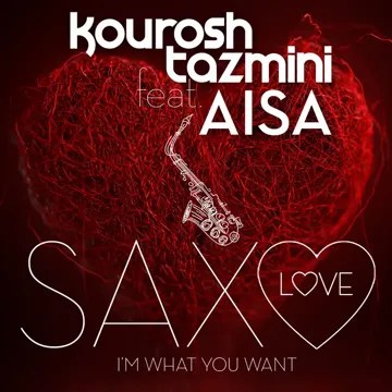 Saxo Love (I'm What You Want) (Radio Edit)-cover
