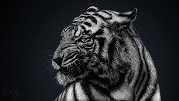 coveImg