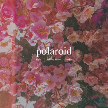Polaroid-cover