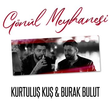 Gönül Meyhanesi-cover