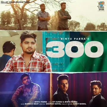 300-cover