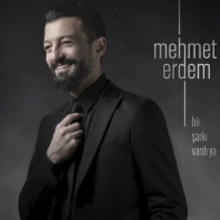 Sevdalilar Beni anlar-cover