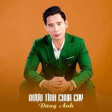 Rượu Tình Chua Cay-cover
