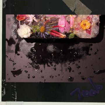 I'm in L but-cover