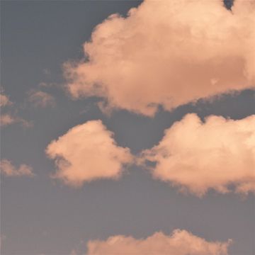 Sway-cover