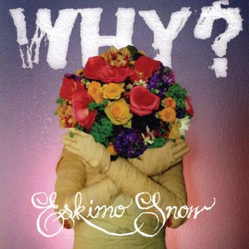 Why-cover