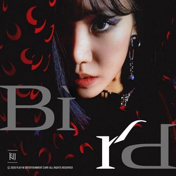 Bird-cover