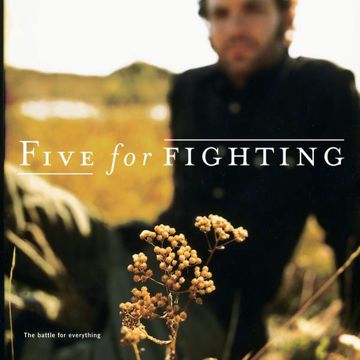 Fighting-cover