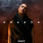 Dragon-cover