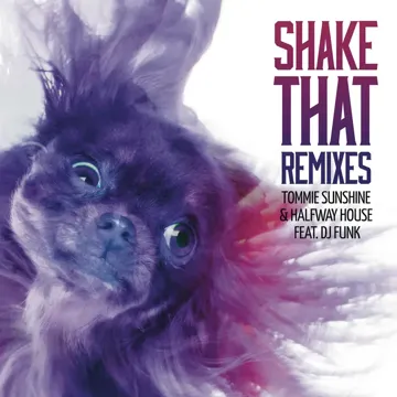 Shake That (From Drop Till Dawn Remix)-cover