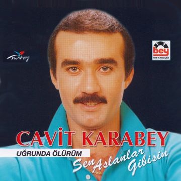 Adını Hasret Koydum-cover