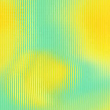 阳光总在风雨后