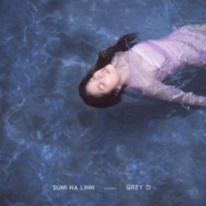 Sự Mập Mờ-cover