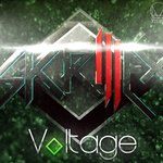 Voltage